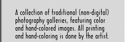 A collections of traditional (non-digital) photography galleries, featuring color and hand-colored images. All printing and hand-coloring is done by the artist.